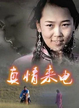 真情来电 海报