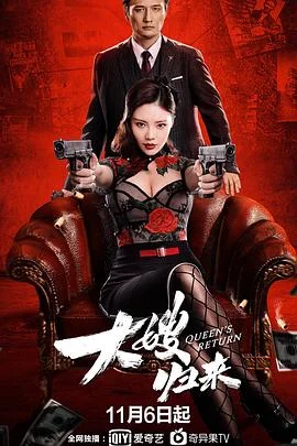 大嫂归来 海报