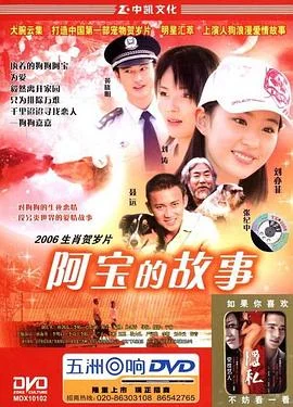 阿宝的故事 海报