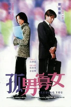 孤男寡女 海报