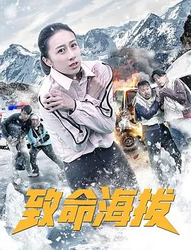 致命海拔 海报
