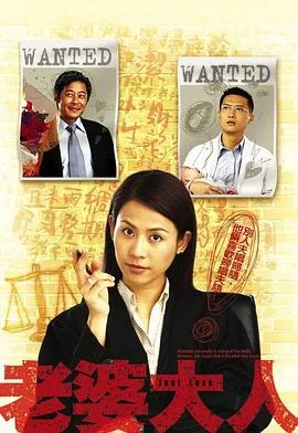 老婆大人国语 海报