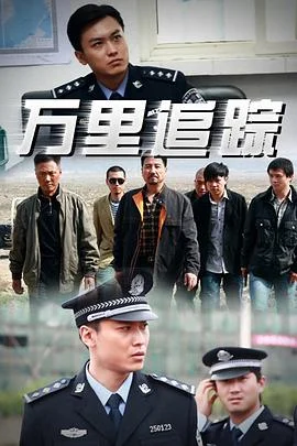 万里追踪 海报