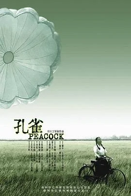 孔雀 海报