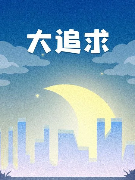 大追求 海报