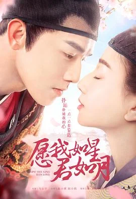 愿我如星君如月 海报