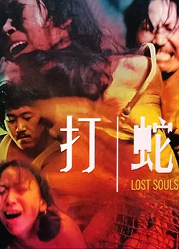 打蛇 海报