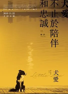 犬爱 海报
