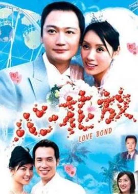 心花放国语 海报
