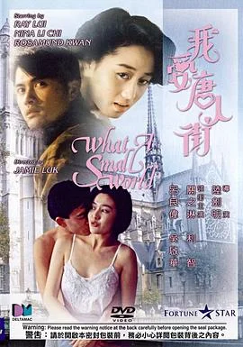 我爱唐人街 海报