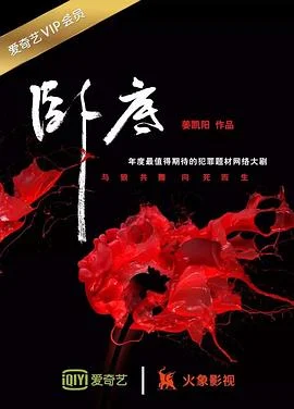 卧底2017 海报