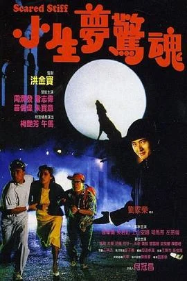 小生梦惊魂 海报