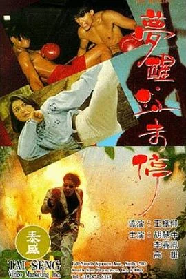 梦醒血未停 海报