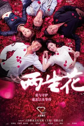 两生花 海报