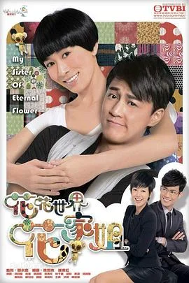花花世界花家姐国语 海报