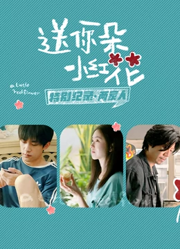 送你一朵小红花 · 特别纪录第二集 海报