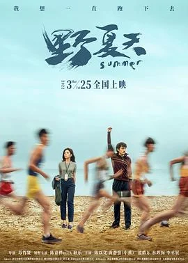 野夏天 海报