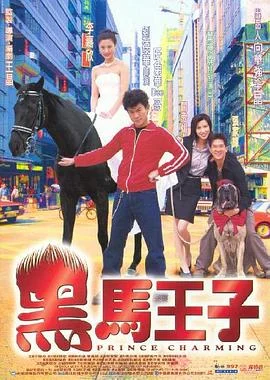 黑马王子 海报