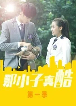 那小子真酷第一季 海报