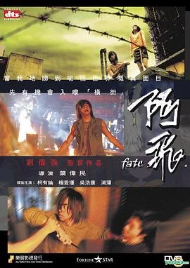 阿飞 海报