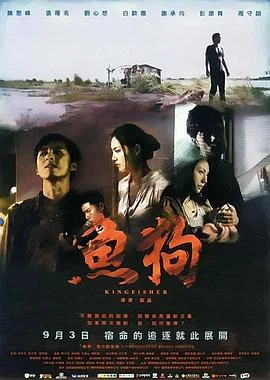 鱼狗 海报