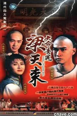 九命奇冤梁天来 海报