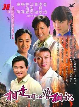 相逢何必曾相识 海报