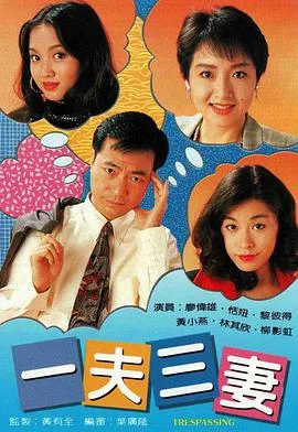 一夫三妻粤语 海报