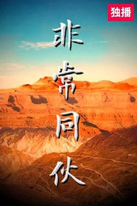 非常同伙 海报