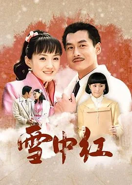 雪中红 海报