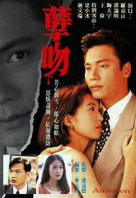 孽吻国语1996 海报