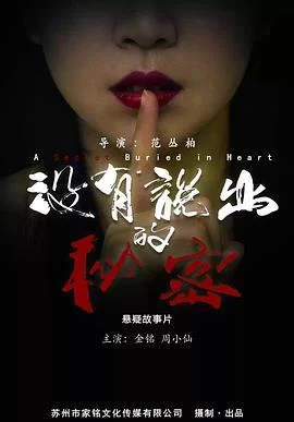没有说出的秘密 海报