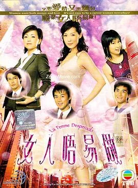 女人不易做国语 海报