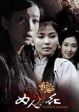 女人花 海报