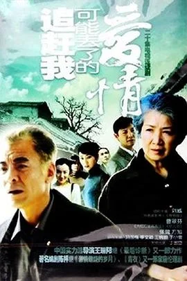 追赶我可能丢了的爱情 海报