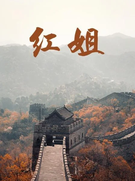 红姐2017 海报