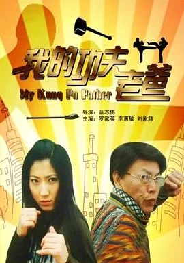 我的功夫老爸 海报