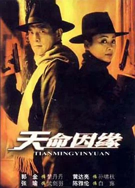 天命因缘 海报
