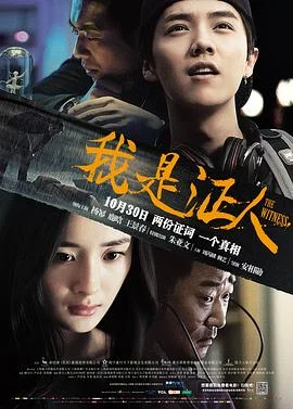 我是证人 海报