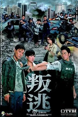 叛逃国语 海报