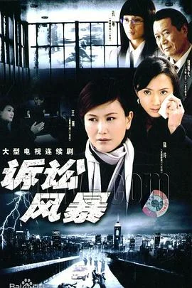 诉讼风暴 海报