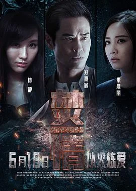 焚情 海报