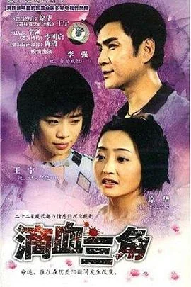 无情的爱 海报