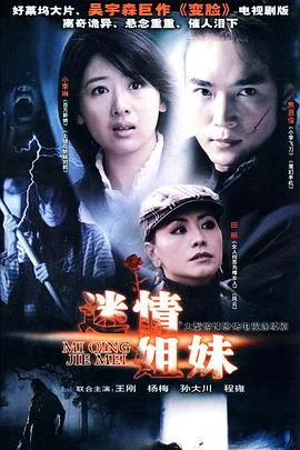 迷情姐妹 海报