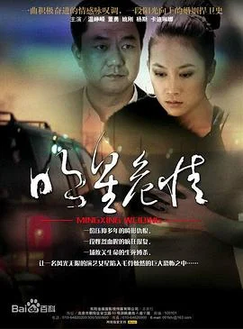 明星危情 海报