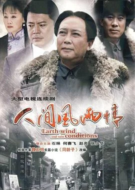 人间风雨情 海报