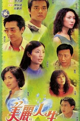 美丽人生国语 海报
