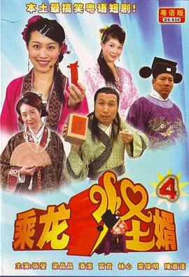 乘龙怪婿第四季 海报