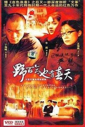 野百合也有春天 海报