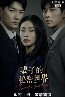 妻子的秘密世界 海报